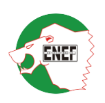Captura de pantalla 2024-10-09 171437